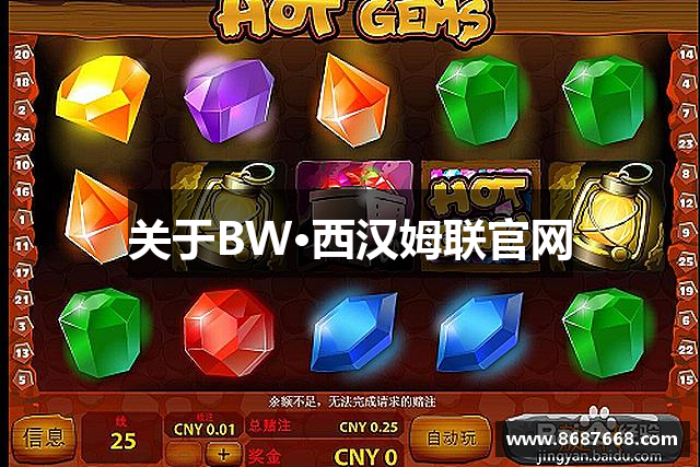 关于BW·西汉姆联官网